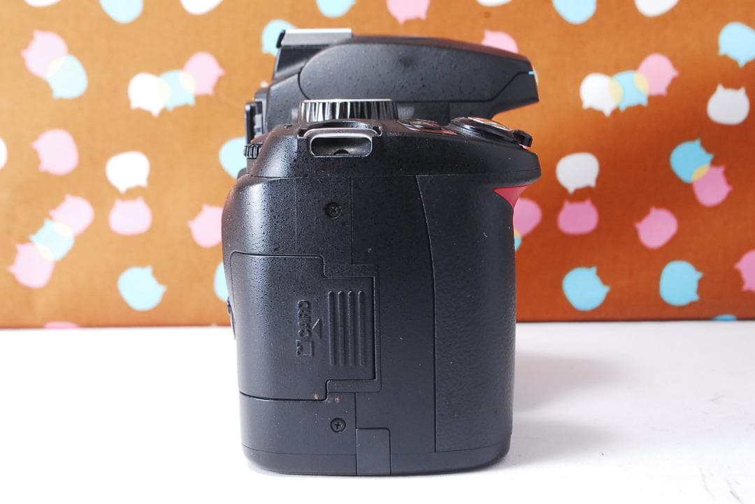 ✨スマホ転送可能✨初心者オススメ✨Nikon D60 レンズセット