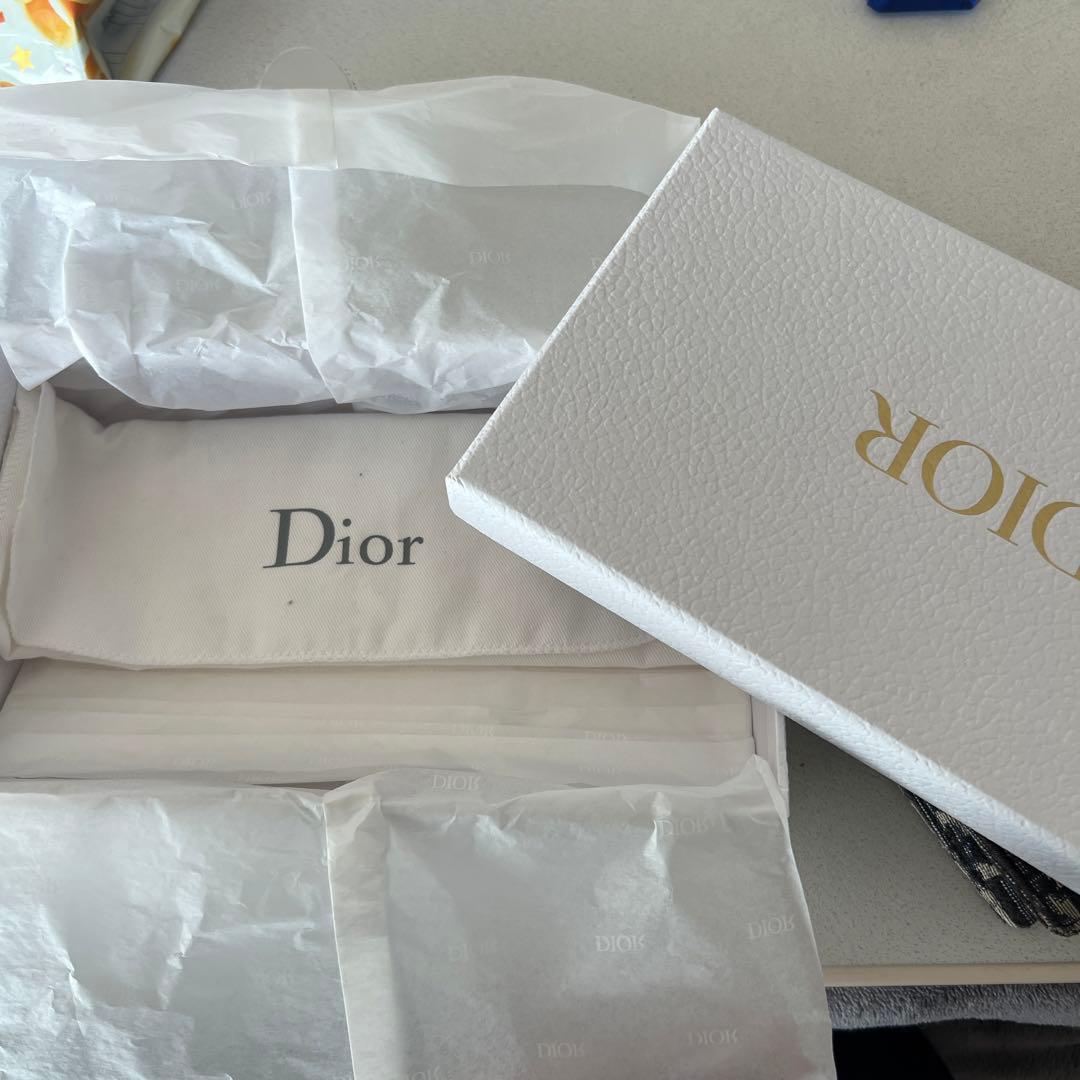Dior Saddle Pouch CA ベージュ/ブラック