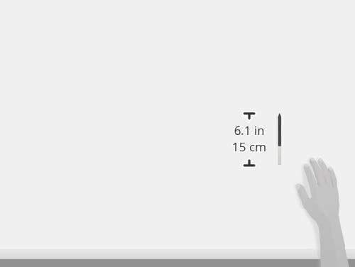 新品 Wacom One 液晶ペンタブレット専用ペン CP91300B2Z 2本