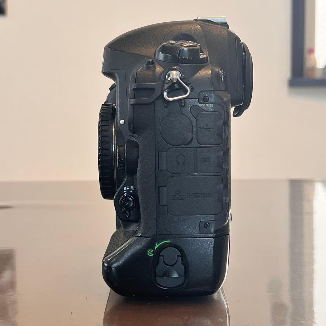 【ほととぎす】Nikon D4 フラッグシップデジタル一眼レフカメラ