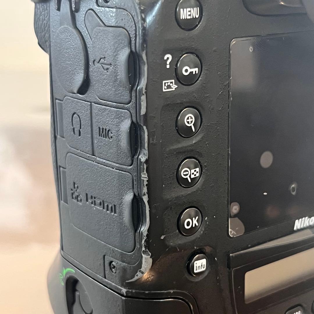 【ほととぎす】Nikon D4 フラッグシップデジタル一眼レフカメラ