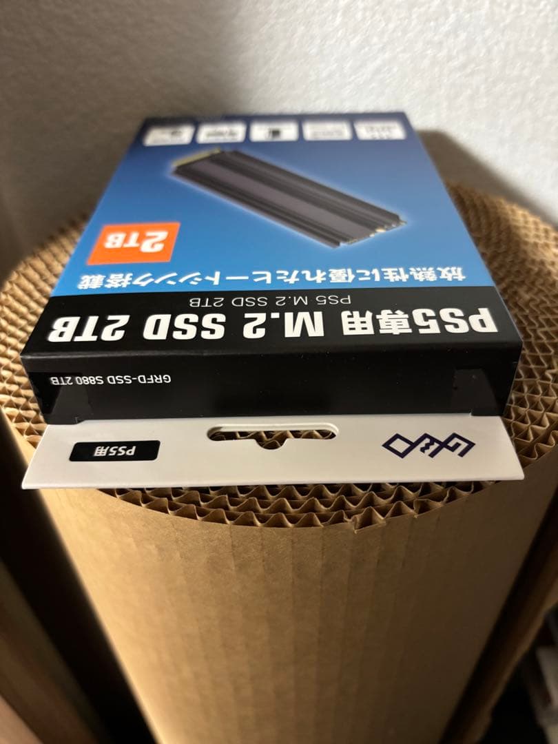 GEO PS5専用 M.2 SSD 2TB SSD 2TB 新品未開封保証書付