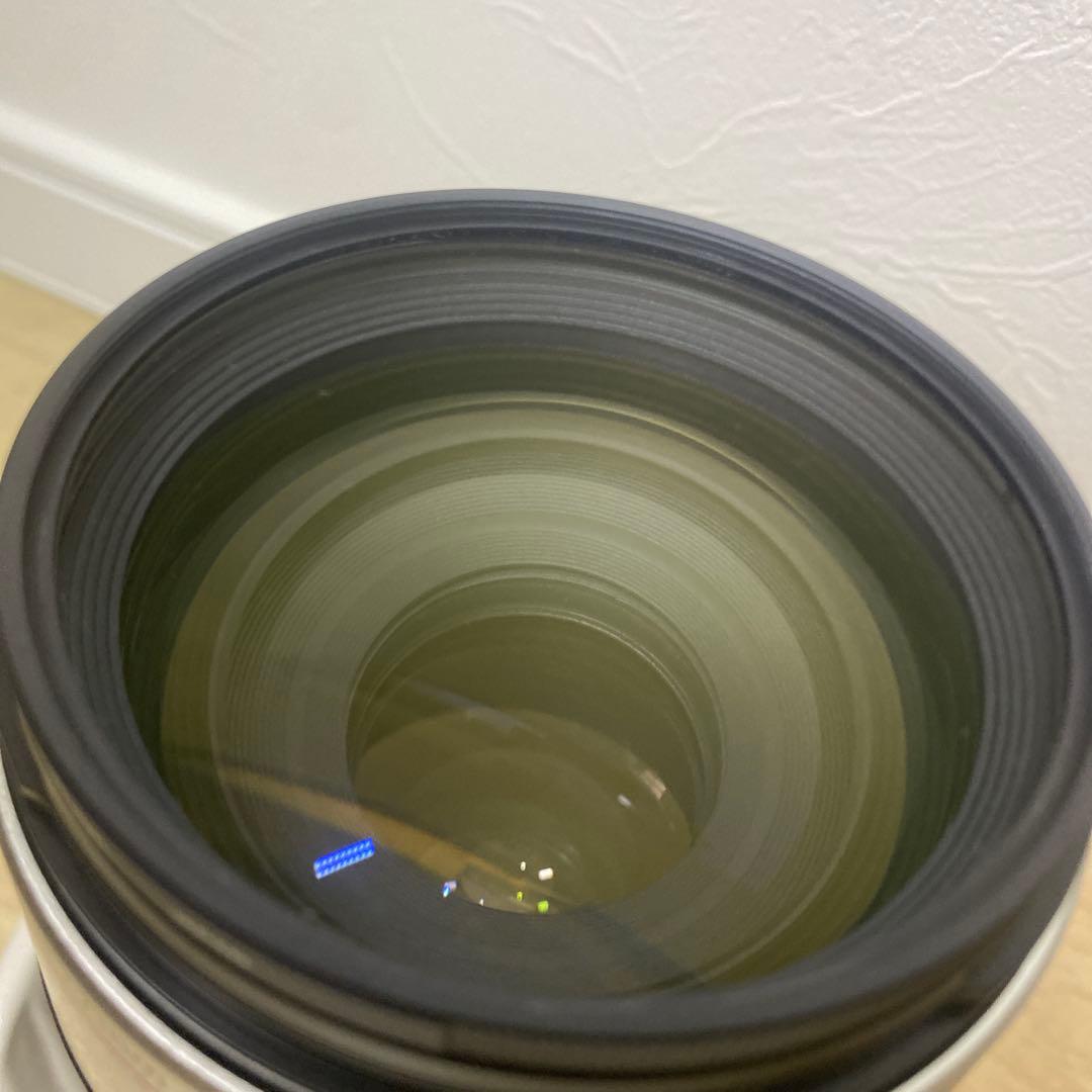 超望遠Canon EF100-400mm L IS USM(ケース・フード付き)