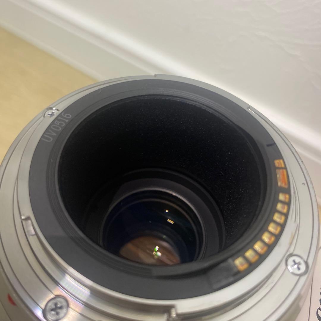 超望遠Canon EF100-400mm L IS USM(ケース・フード付き)