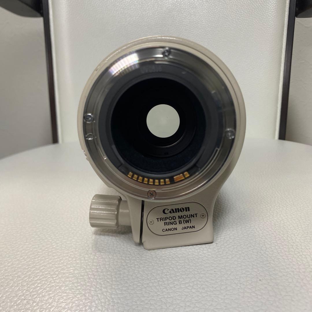 超望遠Canon EF100-400mm L IS USM(ケース・フード付き)