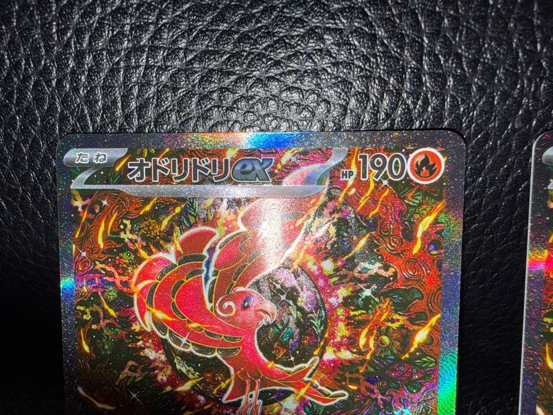 オドリドリ 2枚セット SAR