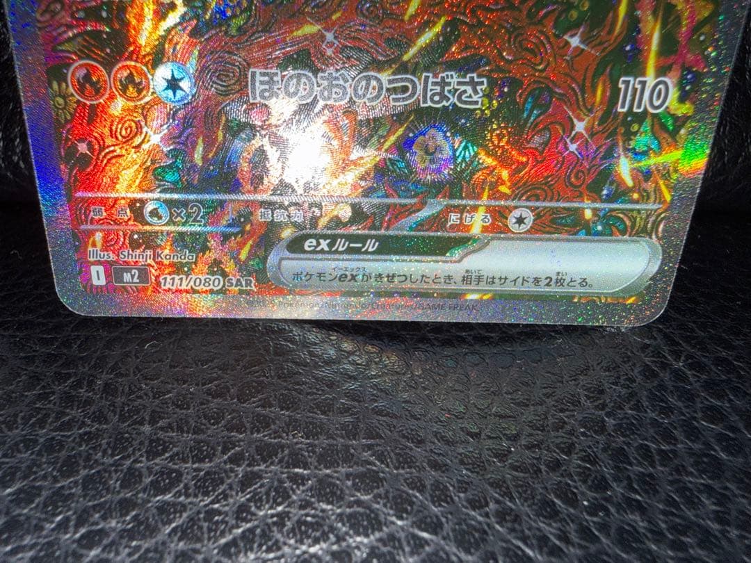 オドリドリ 2枚セット SAR