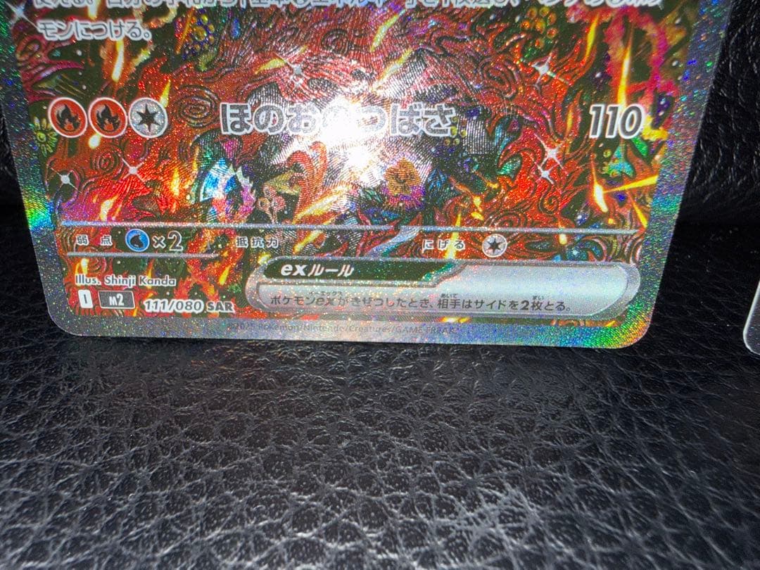 オドリドリ 2枚セット SAR