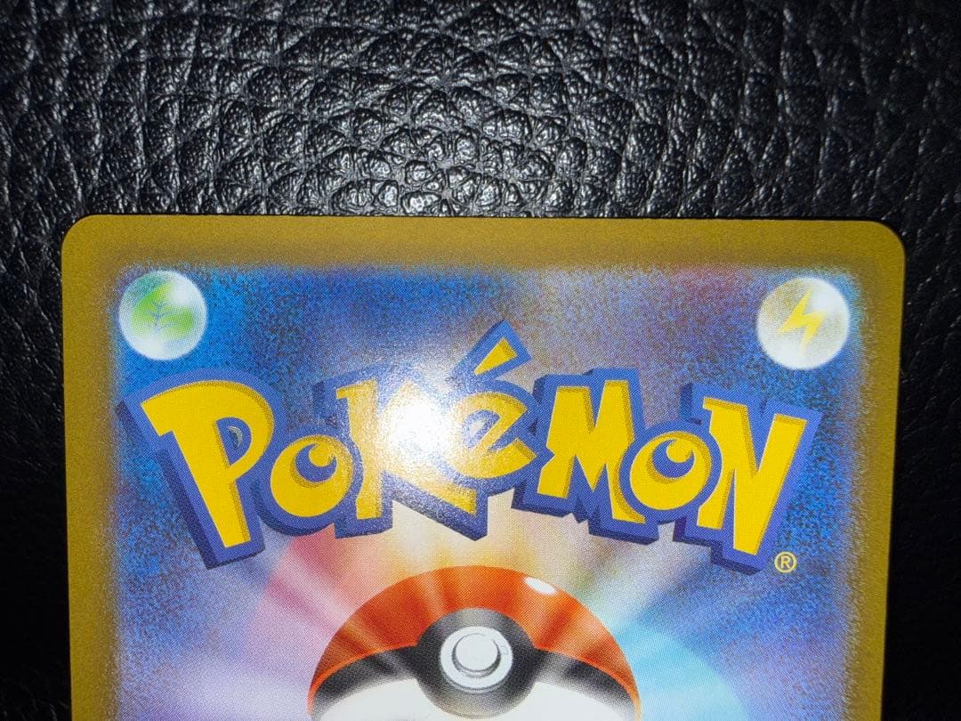 オドリドリ 2枚セット SAR