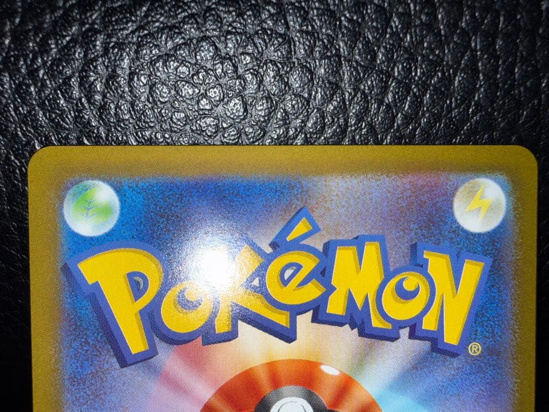 オドリドリ 2枚セット SAR