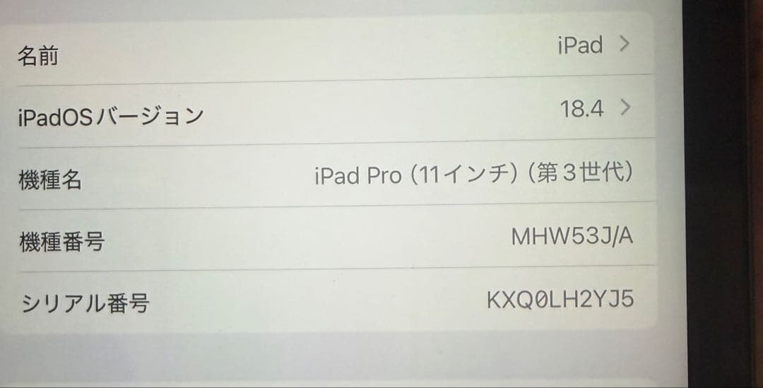 Apple 11インチiPad Pro Wi-Fi + Cellular