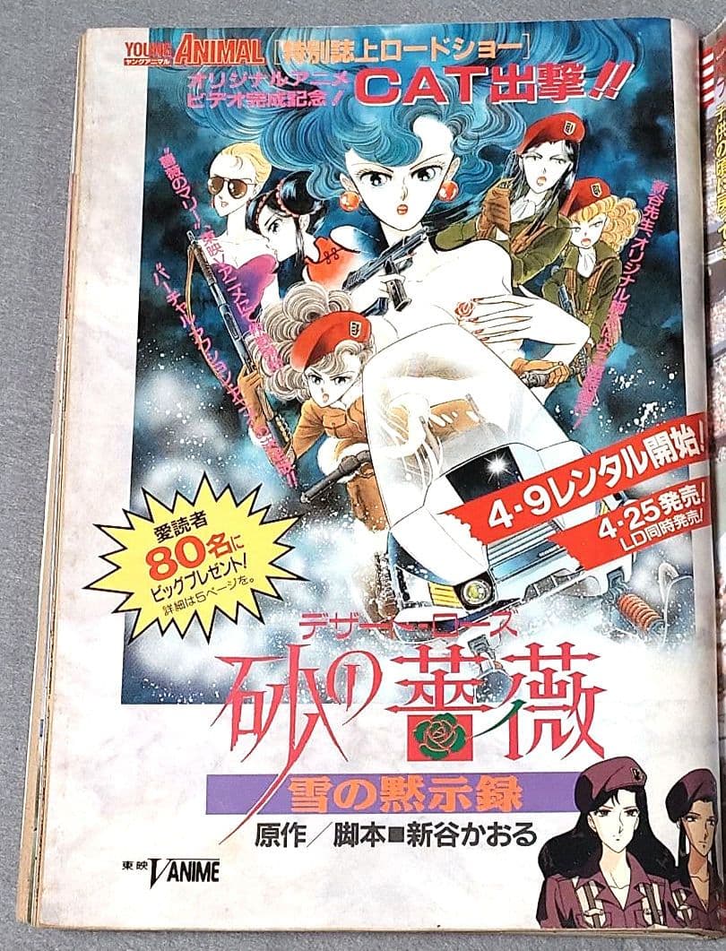 ヤングアニマル1993年7号/ベルセルク第11話掲載/三浦建太郎/希少レア