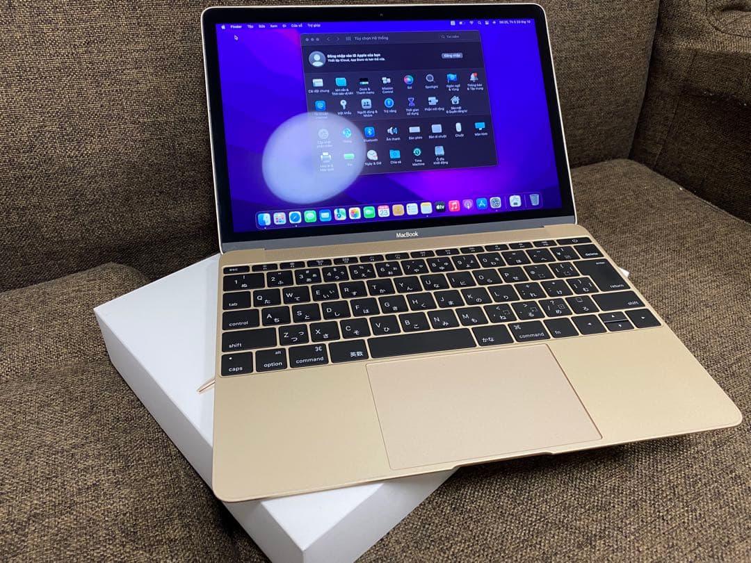 Apple MacBook ゴールド8GB　retina オフィス永続版