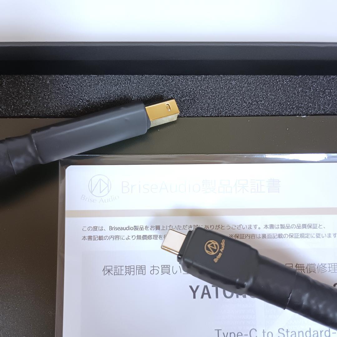 【お値下げしました】Brise Audio YATONO USB v2