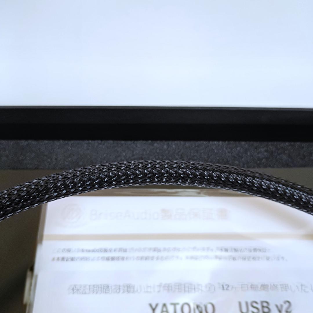 【お値下げしました】Brise Audio YATONO USB v2