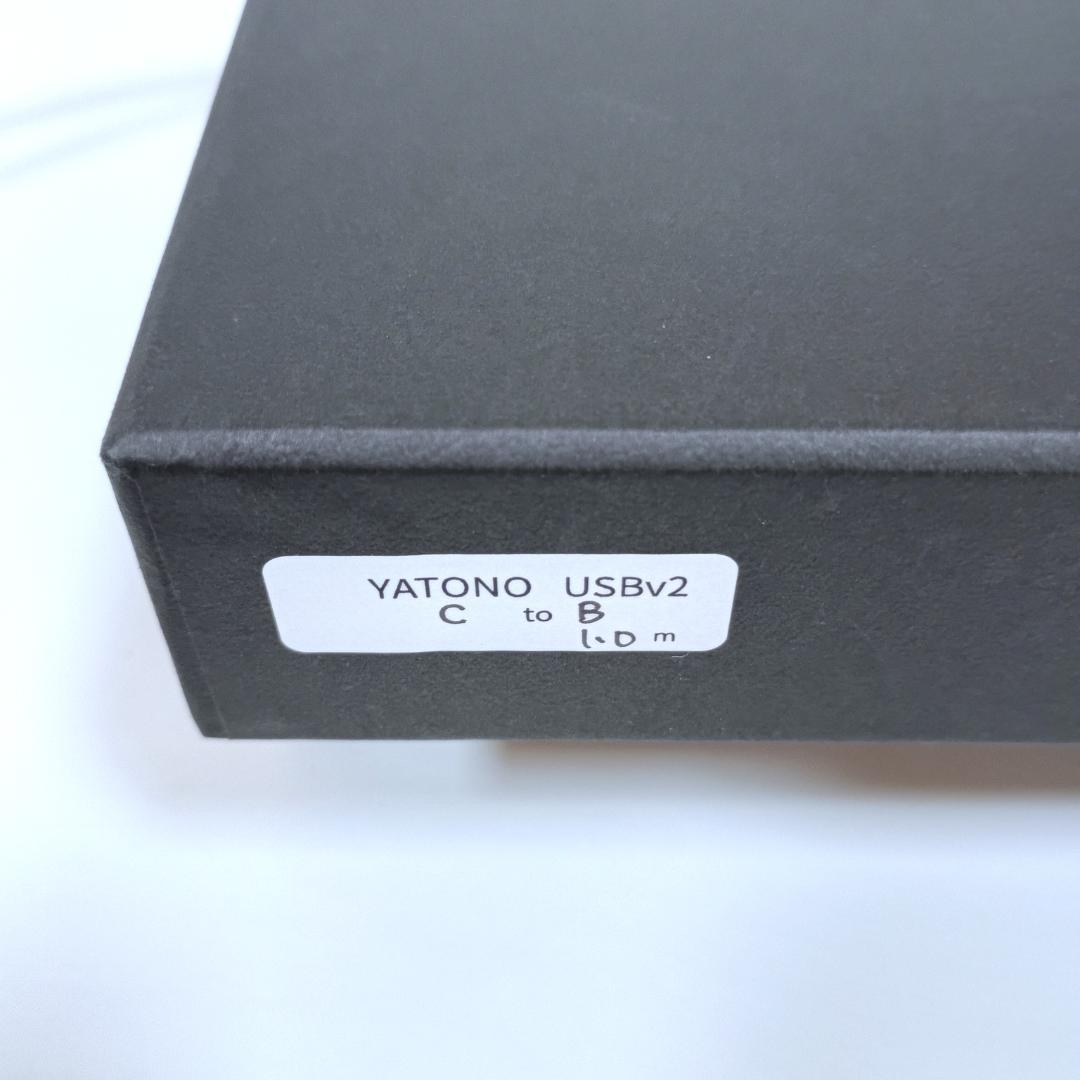 【お値下げしました】Brise Audio YATONO USB v2