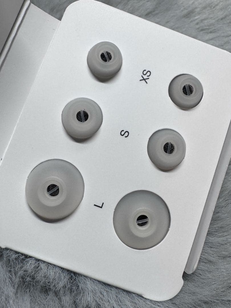 【美品】Bowers & Wilkins Pi8 DW／radius イヤピ付き