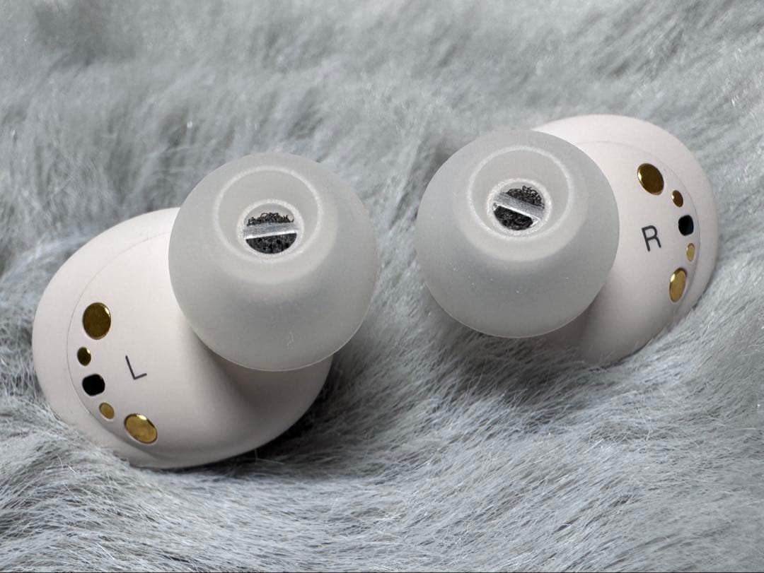 【美品】Bowers & Wilkins Pi8 DW／radius イヤピ付き