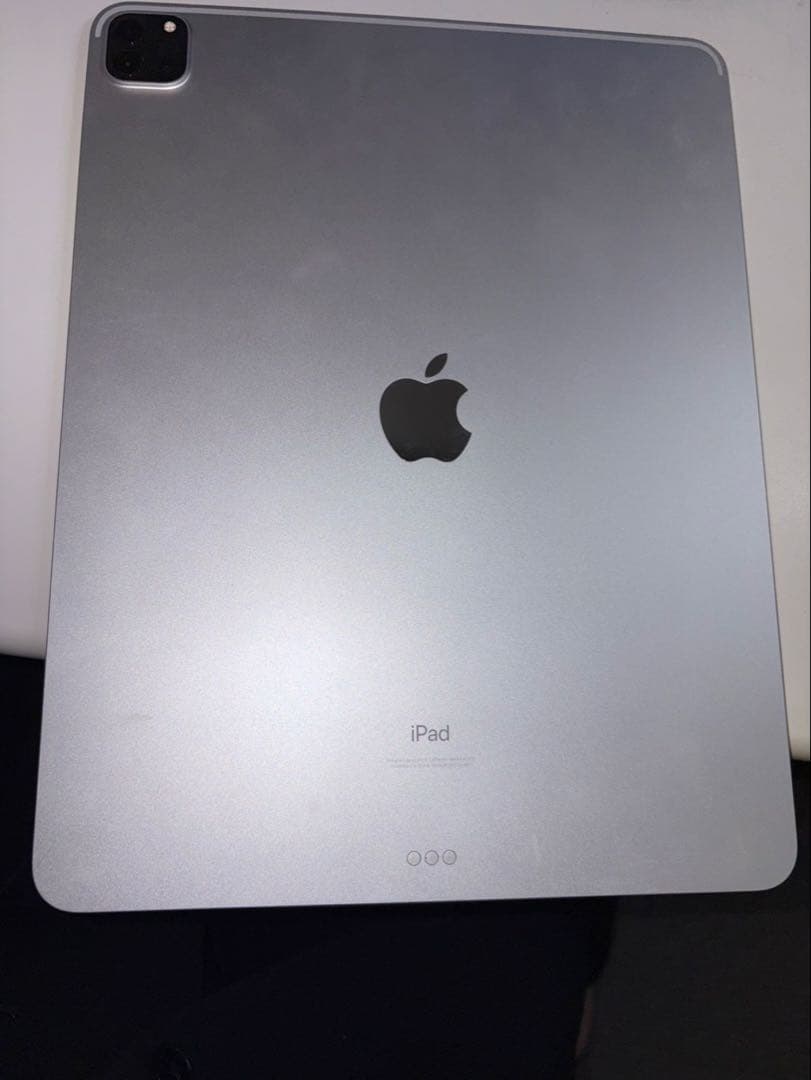 Apple iPad Pro本体 シルバー 第5世代 256gb