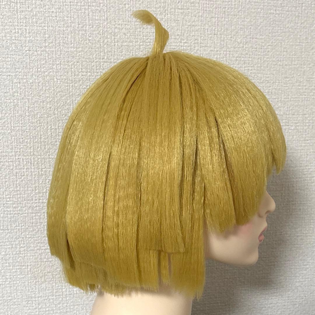 地獄楽 コスプレ ウィッグ 山田浅ェ門付知