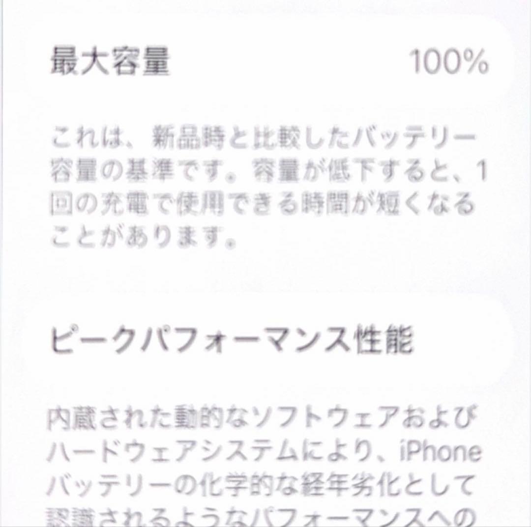 Apple iPhone 11 ProMAX 本体