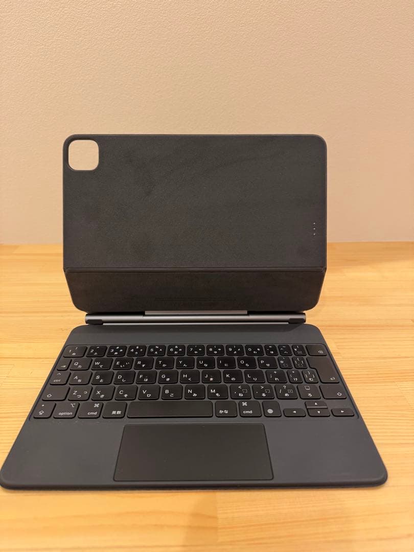 美品 iPadPro11インチ Wi-Fi+Cellular256GB 第3世代