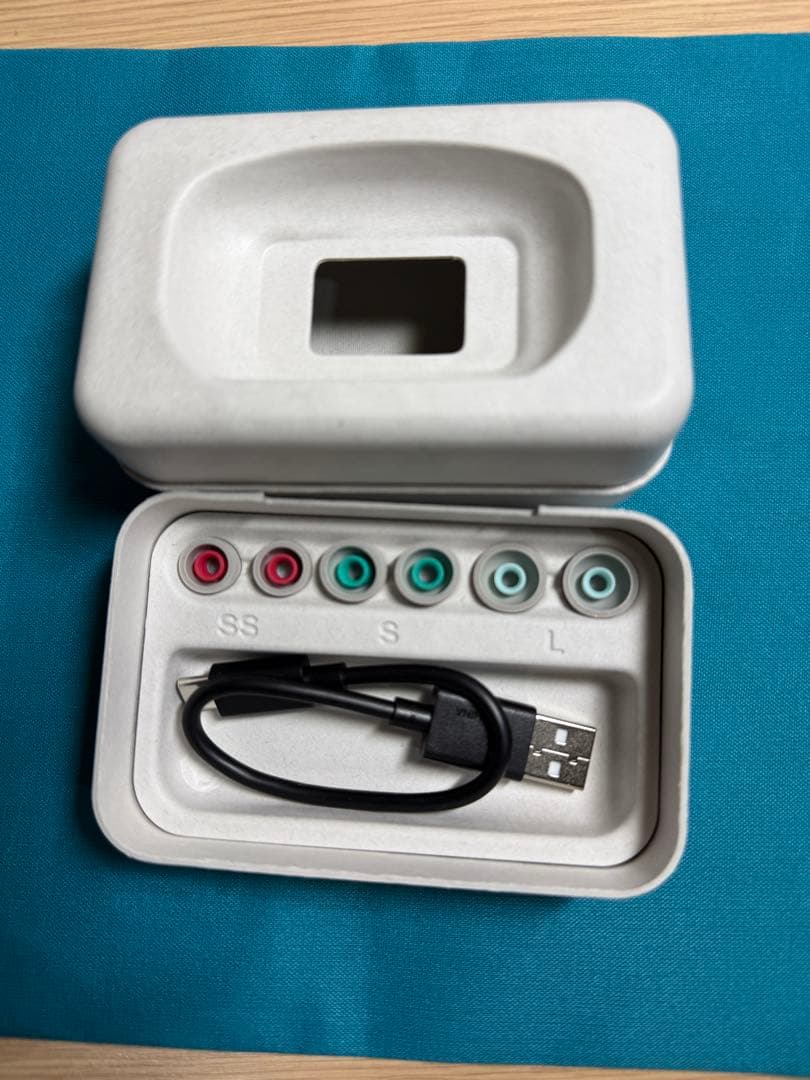 【中古美品】Sony WF-1000XM5