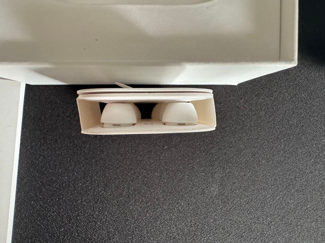 AirPods Pro 2 (USB-C) 本体 ケース付き