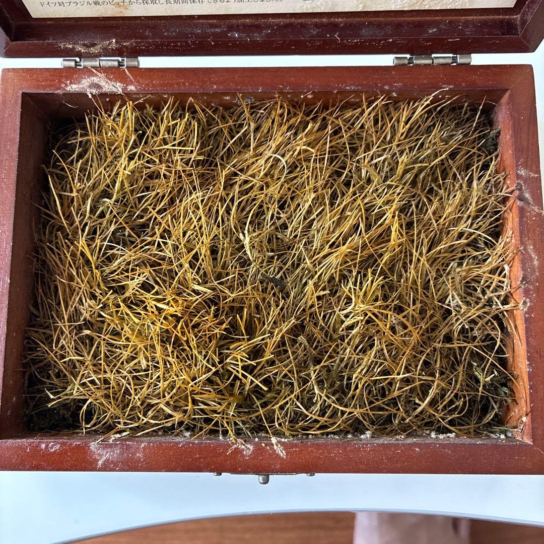 記念グッズ FIFA WORLD CUP THE GRASS OF FINAL MATCH