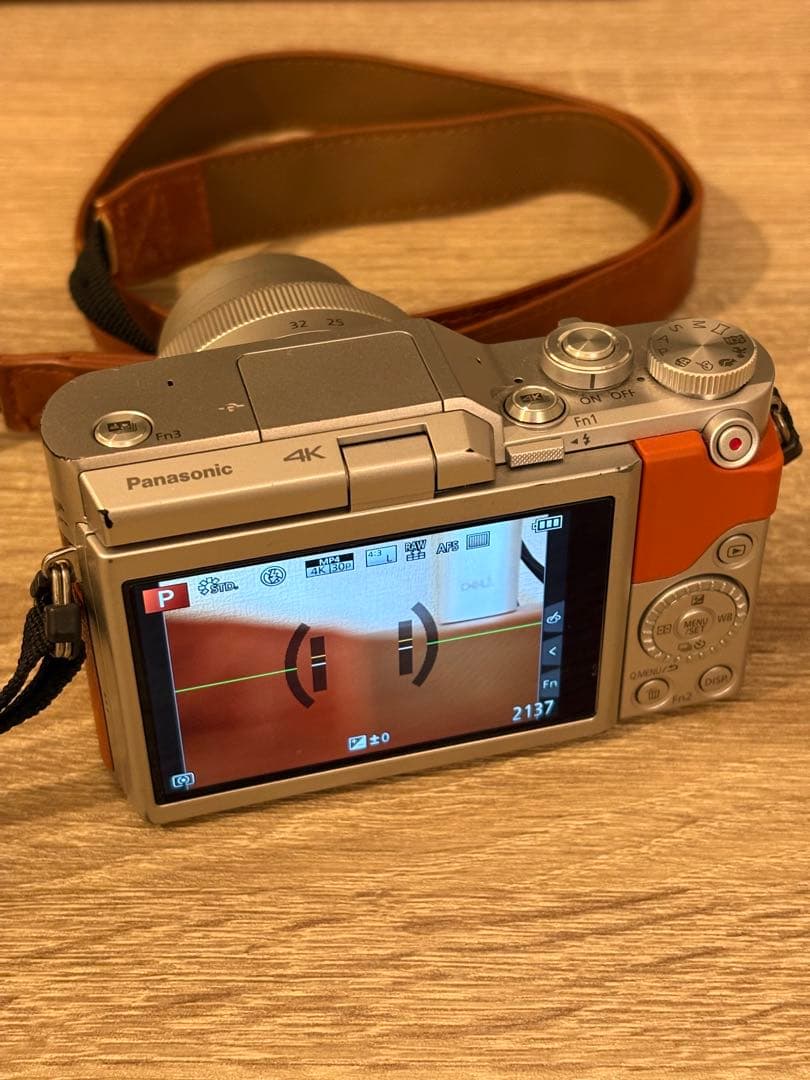 【やや難あり】LUMIX GF9 オレンジ Panasonic