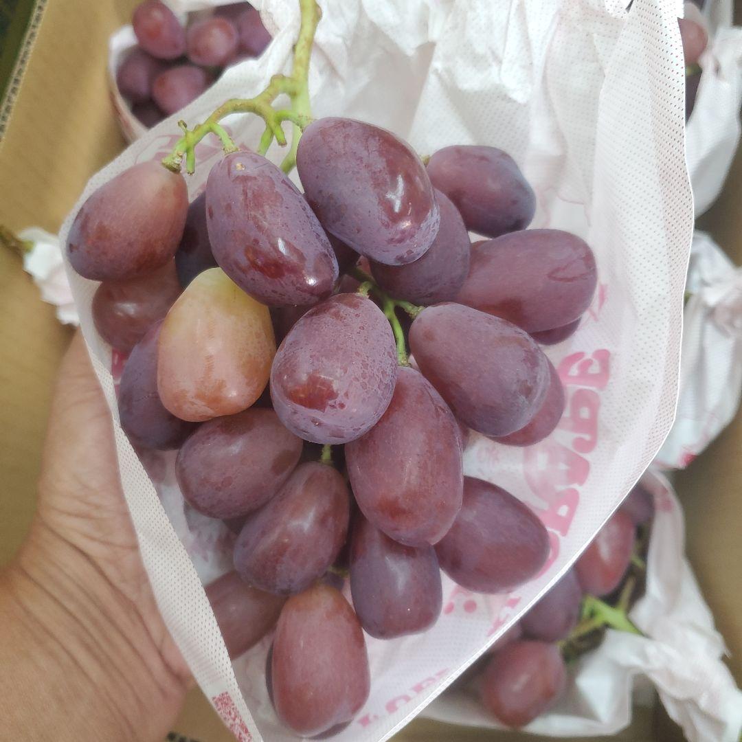 1⃣ 山梨県産 美和姫 ８房入り 箱込み5.3キロ