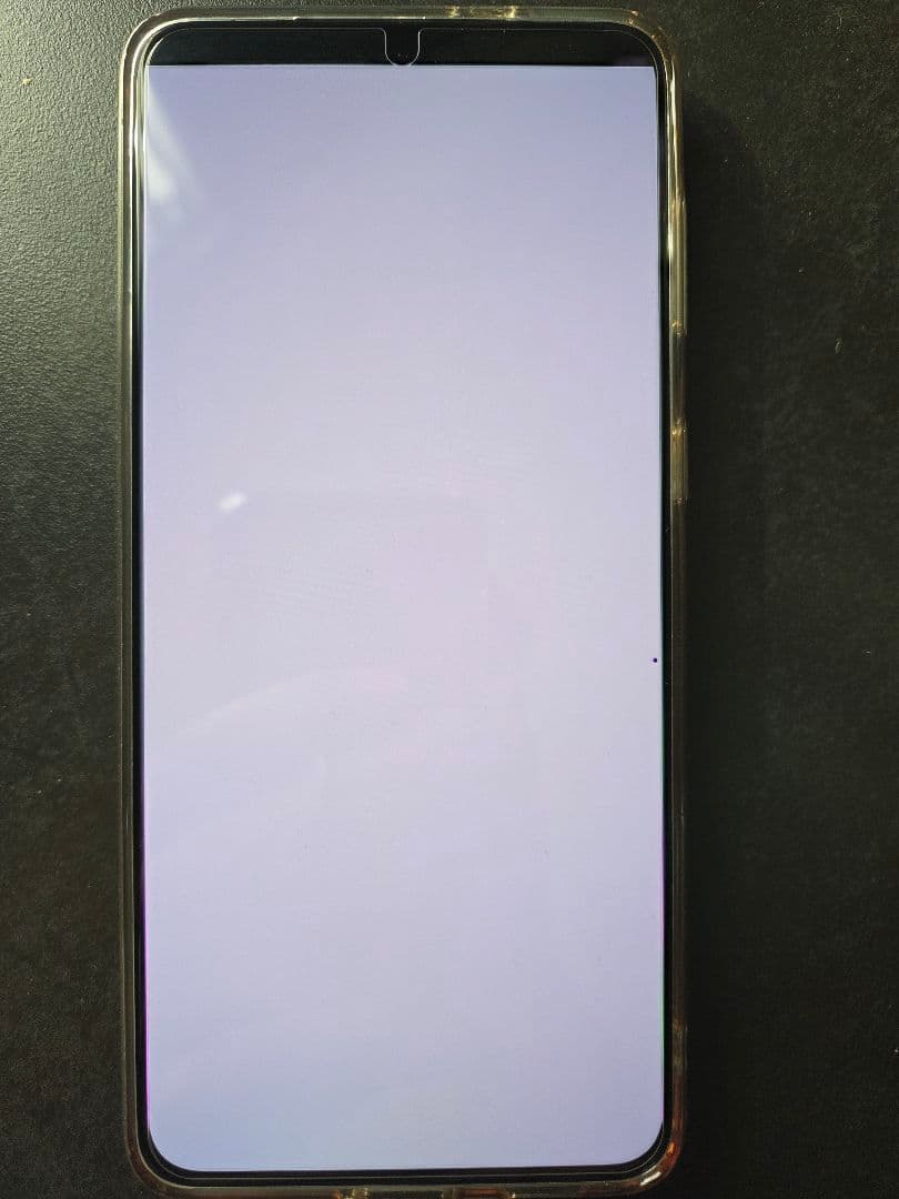 galaxy s21 plus (SCG10) au版　2024/8交換品