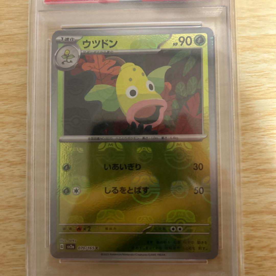 次*日様 タマンチュラAR ウツドンマスボミラー　psa10