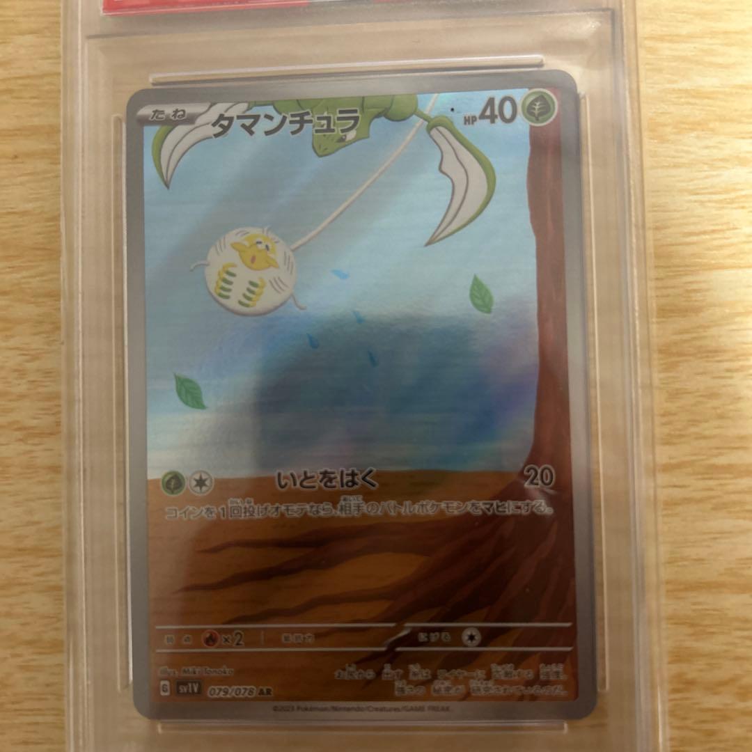 次*日様 タマンチュラAR ウツドンマスボミラー　psa10