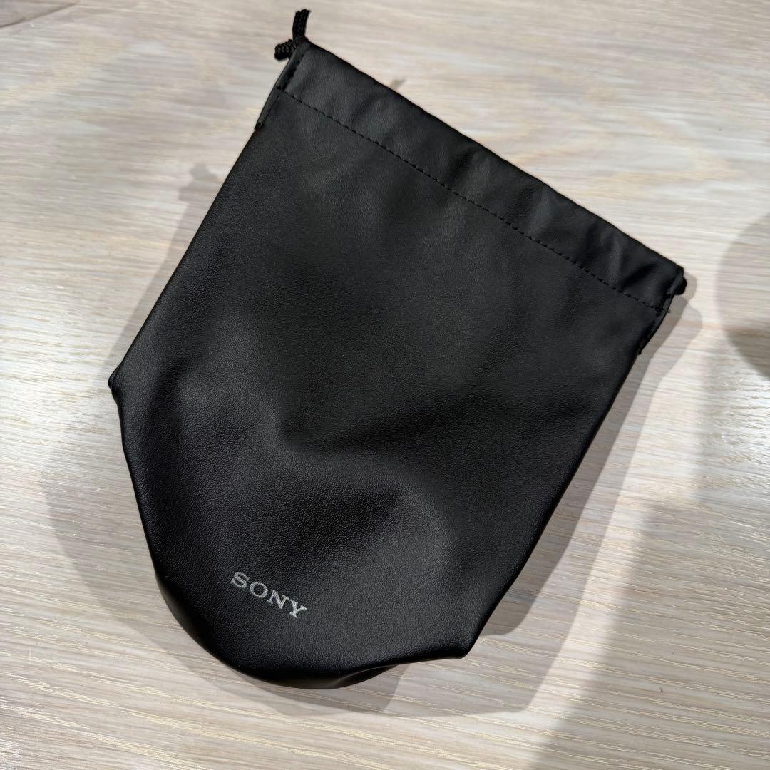 SONY FE 24-105mm F4 G OSS EマウントSEL24105G