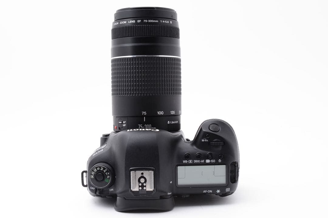 デジタル一眼レフカメラ/Canon EOS 5D Mark IV望遠レンズセット