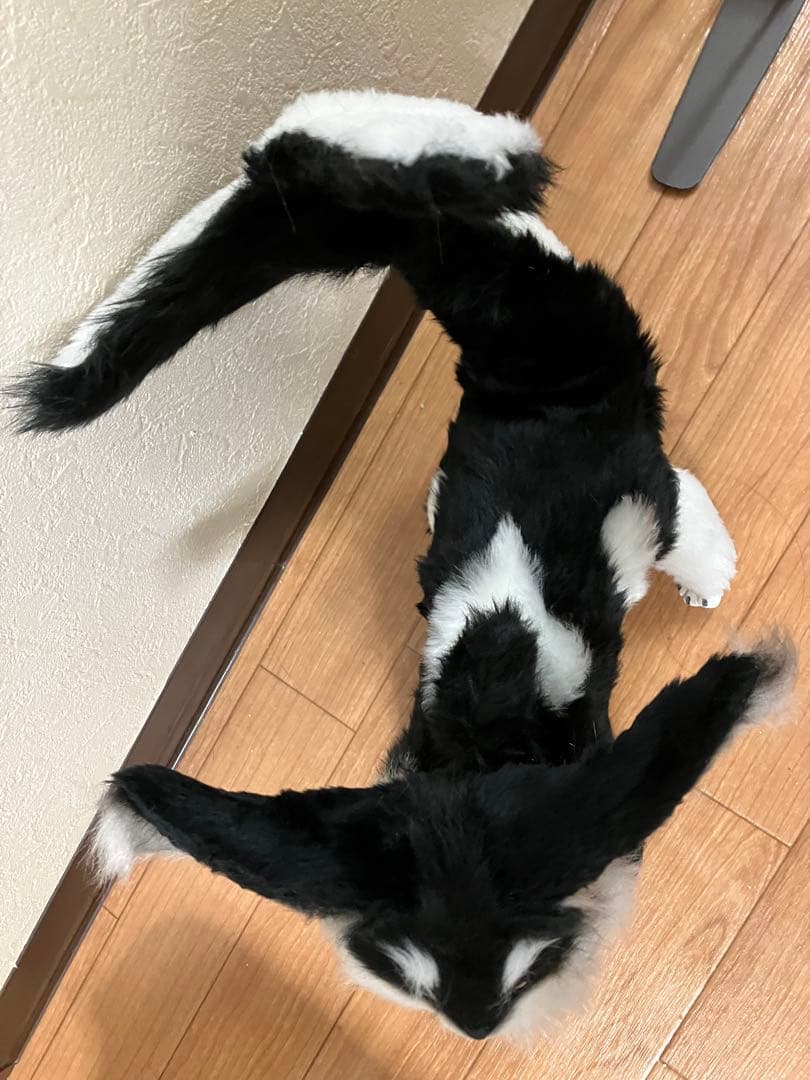 国内作家様　アートドール　シャチっ子　シャチ