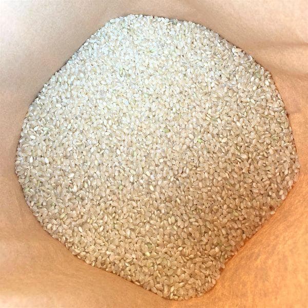 農家保有米 令和7年産 15キロ 玄米 コシヒカリ 15kg(5kg×3) 新米