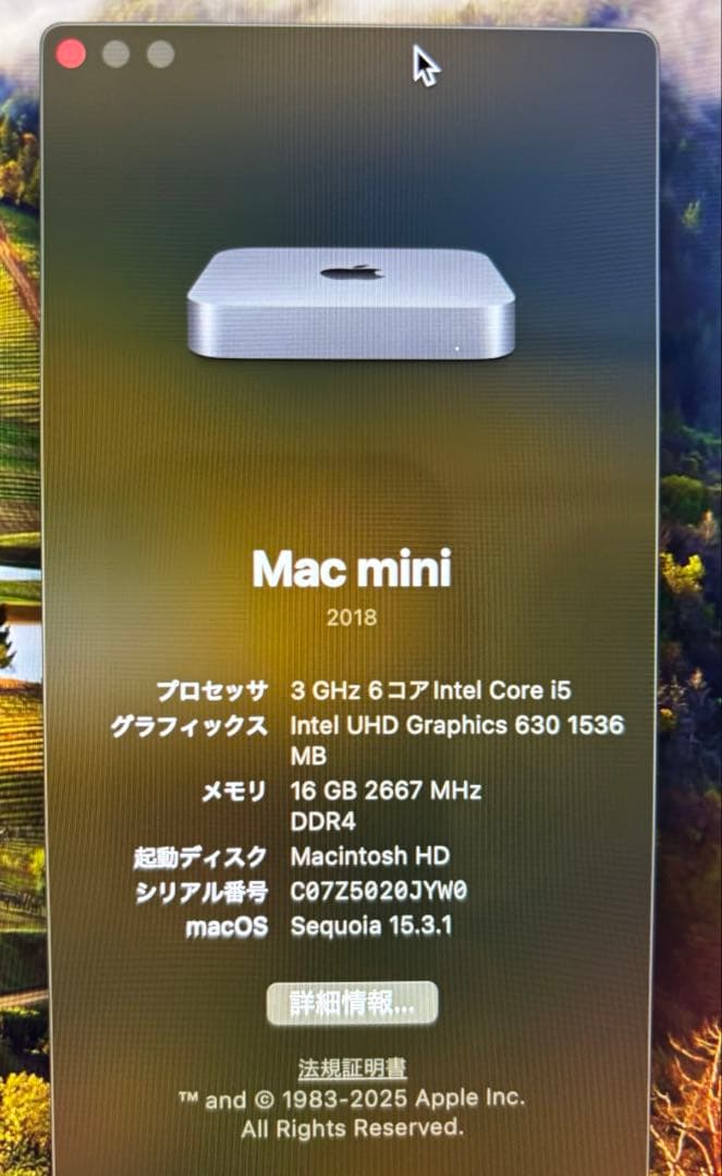 ミニPC Apple Mac mini 2018 Core i5 SSD250GB