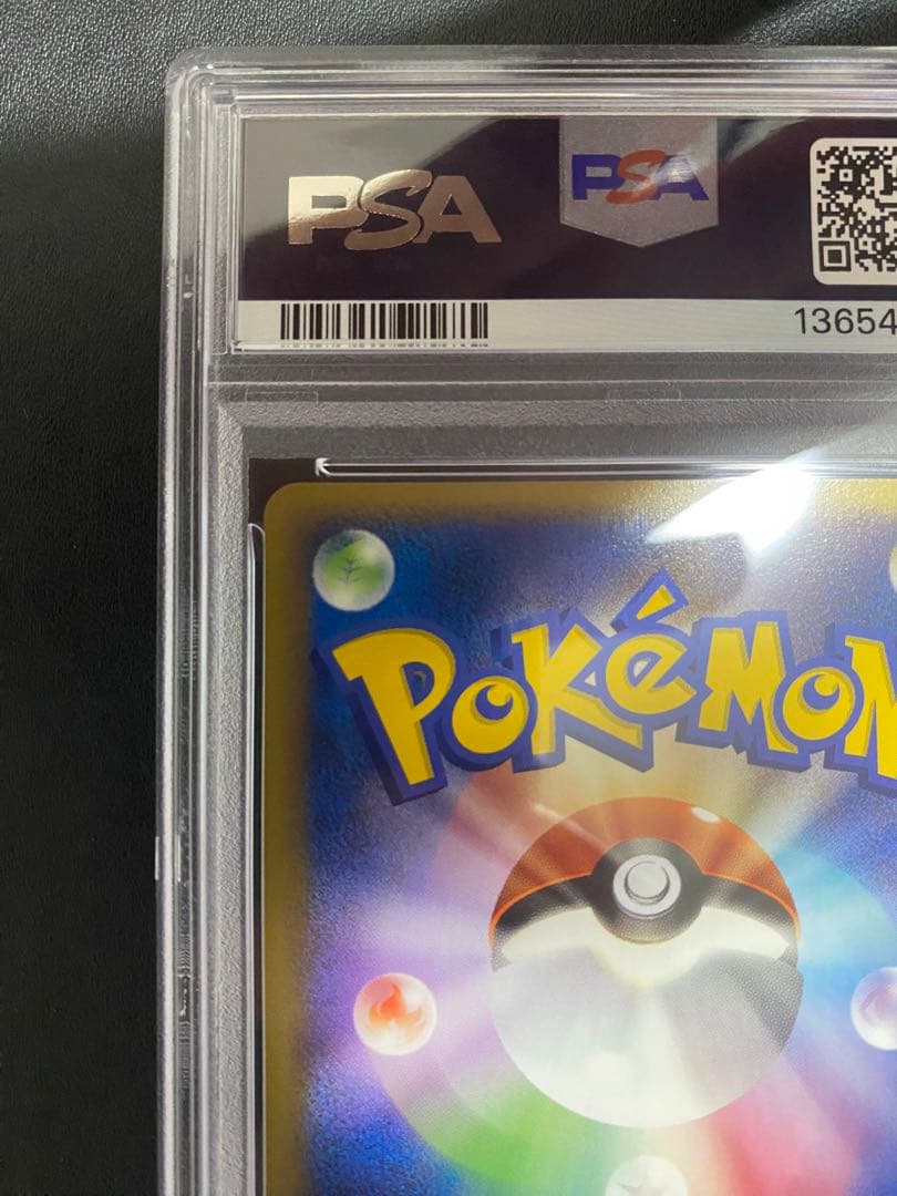 ライコウ psa10 ポケパークプレミアムファイル 005/009