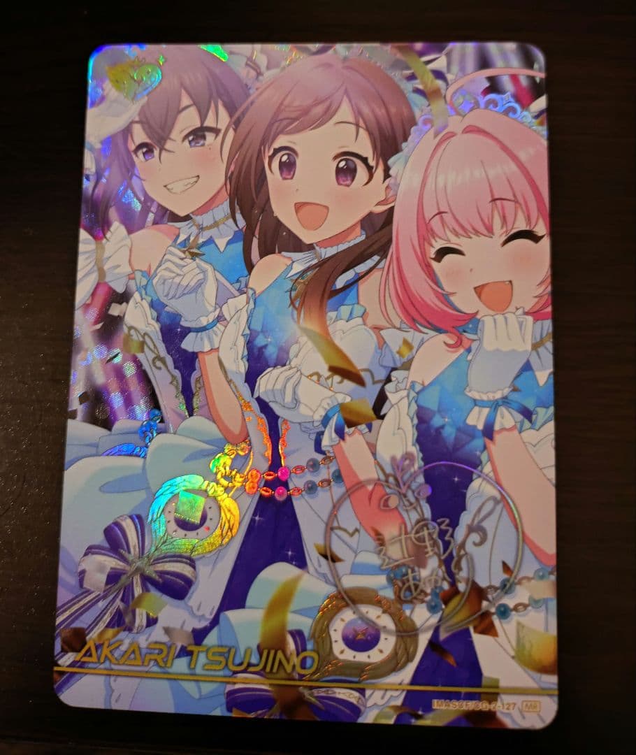 辻野あかり　MR カードフォリオ