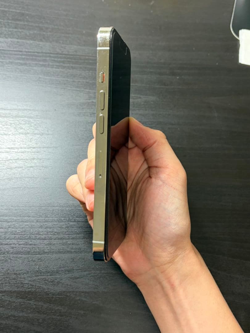 iPhone 13 Pro 256GB シルバーバッテリ100％Face ID可