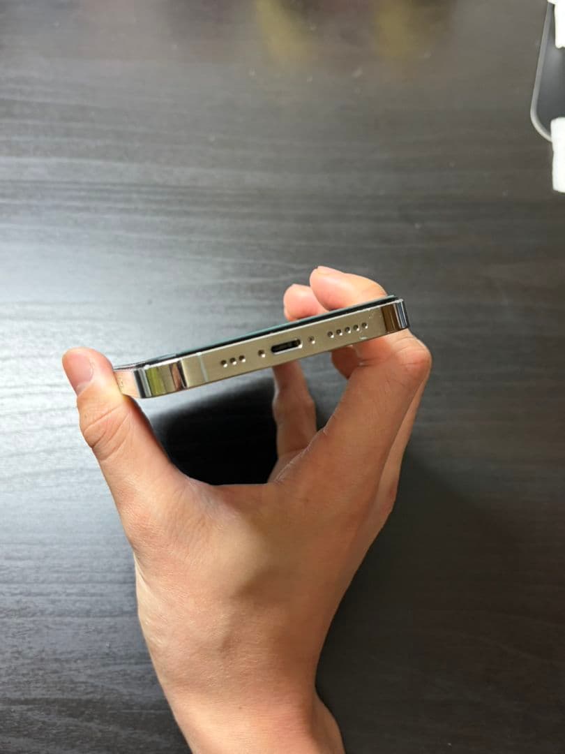 iPhone 13 Pro 256GB シルバーバッテリ100％Face ID可