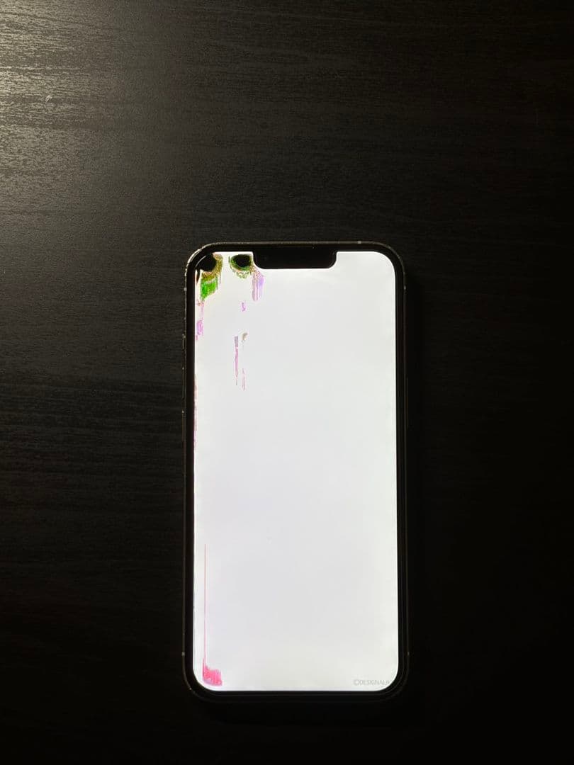 iPhone 13 Pro 256GB シルバーバッテリ100％Face ID可