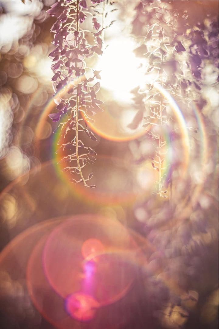 Super Takumar 55mm f1.8【M42】【最上級虹色フレア】希少