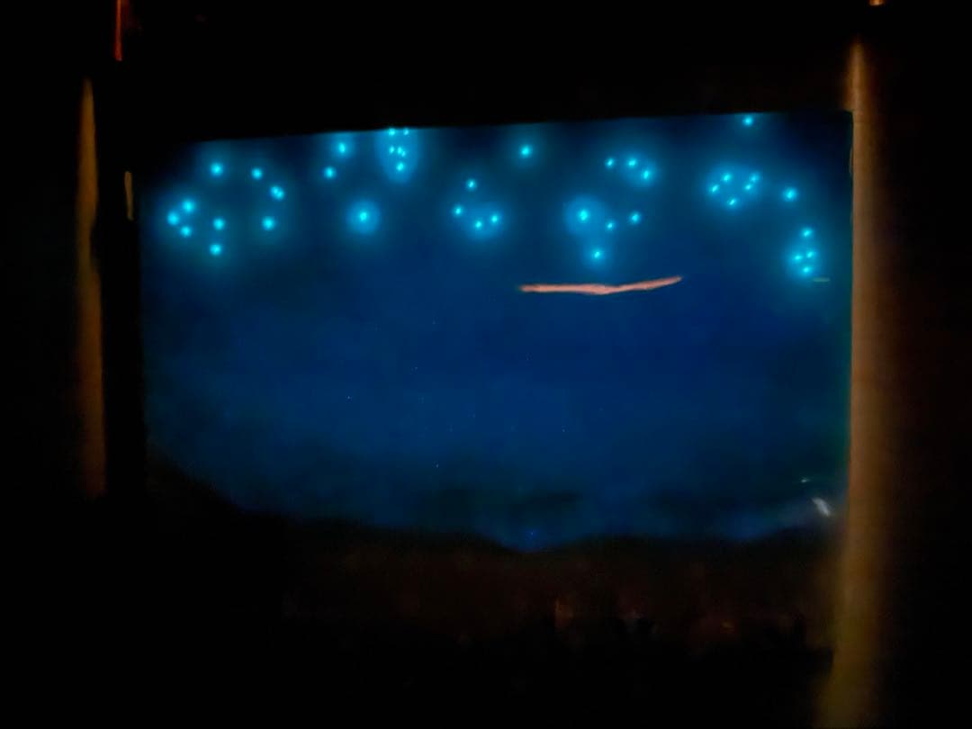 南国の癒し　レジンアート