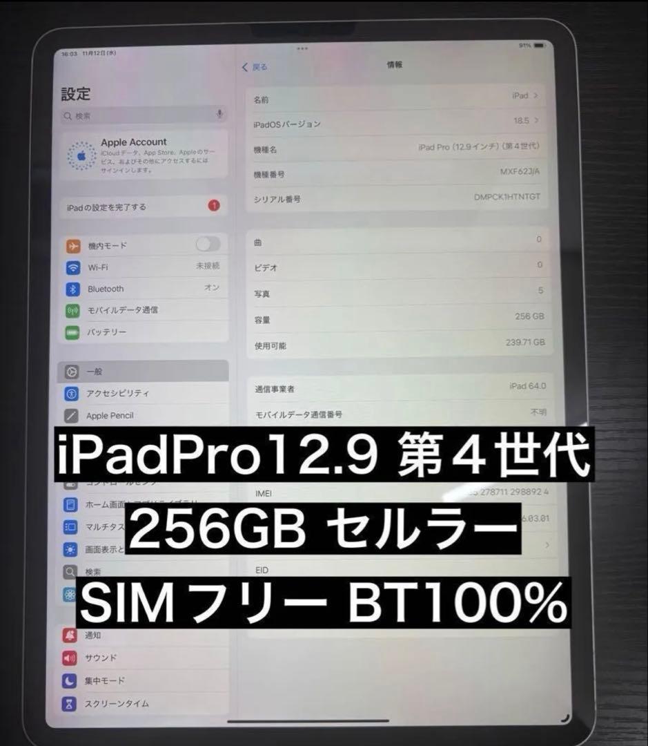 iPad Pro 12.9 第4世代 256GB セルラー