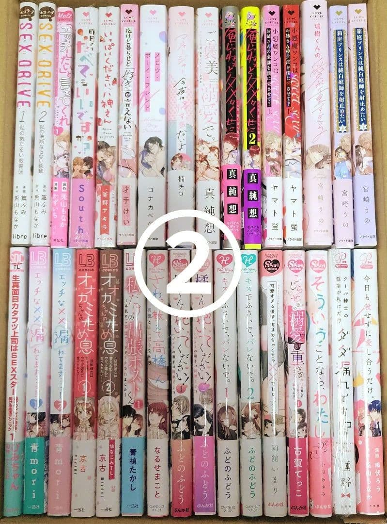 【初版・帯付】TLコミック大量まとめ売り♡67冊♡宮崎うの・真純想・山田パン 他