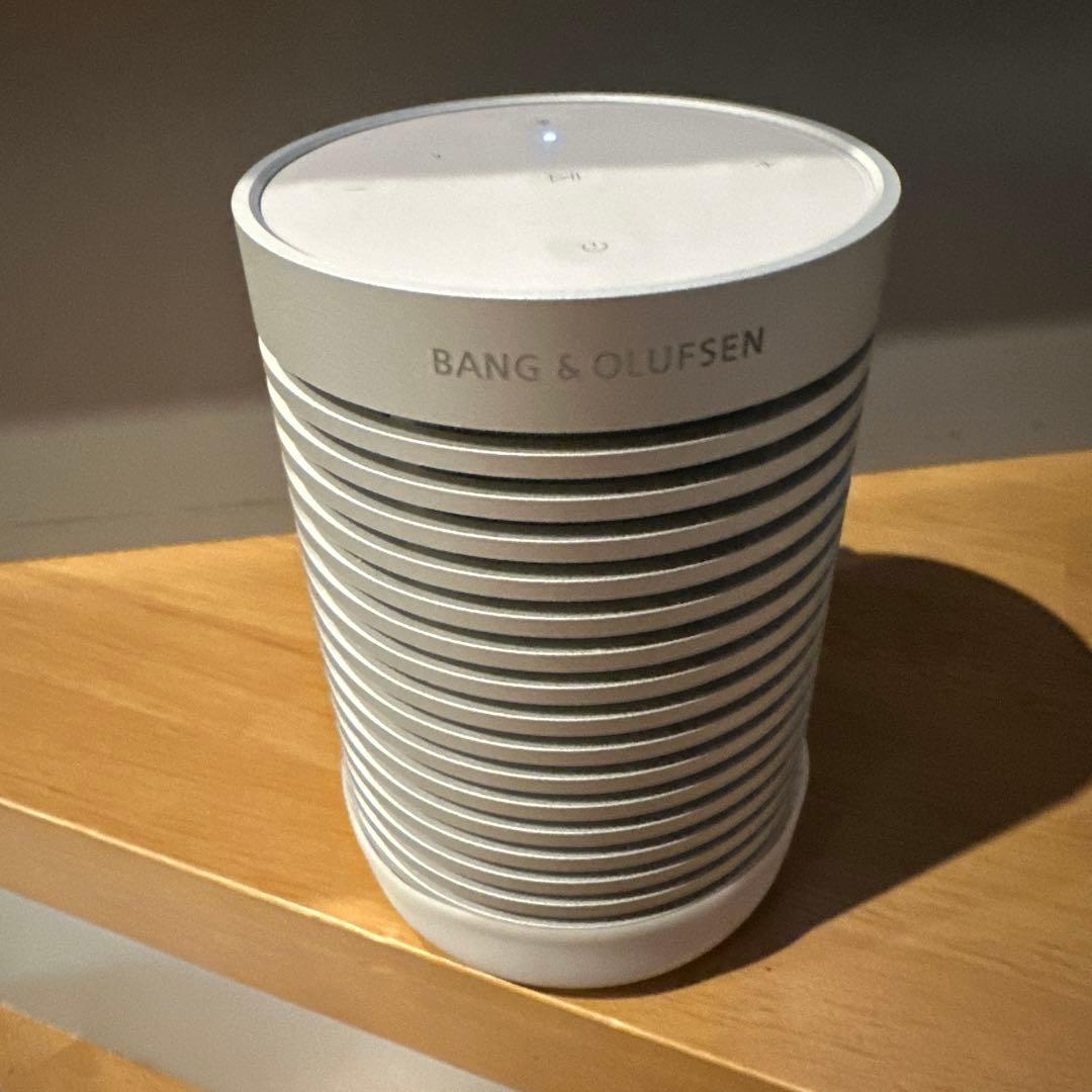 バングアンドオルフセン　アウトドアスピーカー【別売りケース付き】