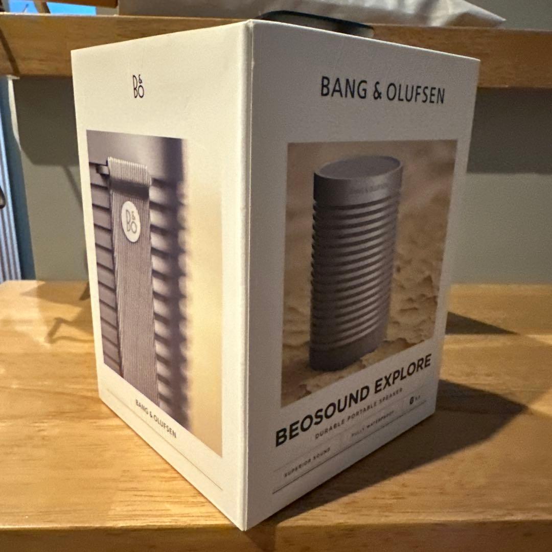 バングアンドオルフセン　アウトドアスピーカー【別売りケース付き】
